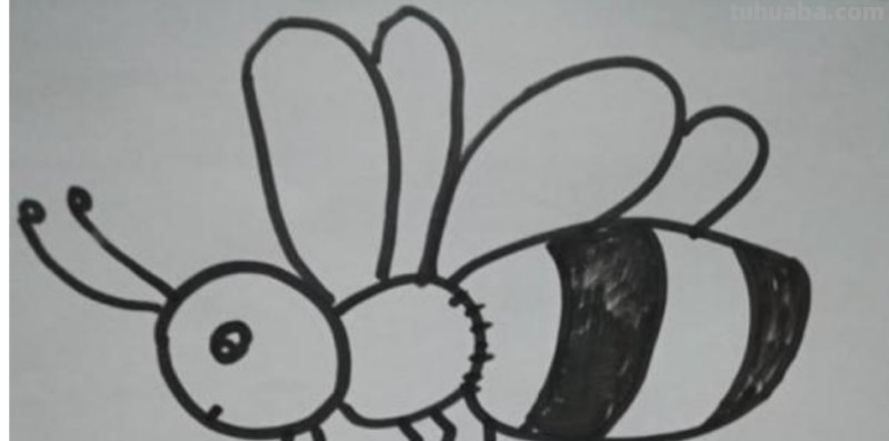 怎么画蜜蜂简笔画(怎么画蜜蜂简笔画,简单又好看) 怎么画蜜蜂简笔画(怎么画蜜蜂简笔画,简单又好看)