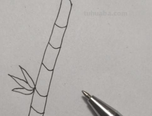 竹子怎么画 简笔画(竹子怎么画简笔画 古风) 竹子怎么画 简笔画(竹子怎么画简笔画 古风)