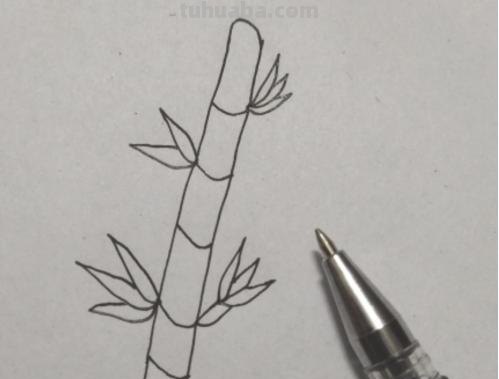 竹子怎么画 简笔画(竹子怎么画简笔画 古风) 竹子怎么画 简笔画(竹子怎么画简笔画 古风)