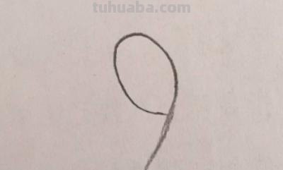 玫瑰花怎么画 简笔画（玫瑰花怎么画简笔画又漂亮）