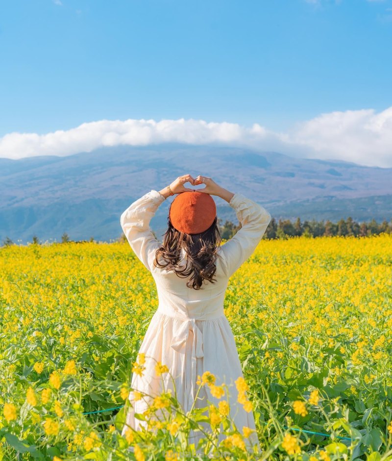 不露脸的照片,应该怎么拍,用这5个摄影技巧吧 不露脸的照片,应该怎么拍,用这5个摄影技巧吧