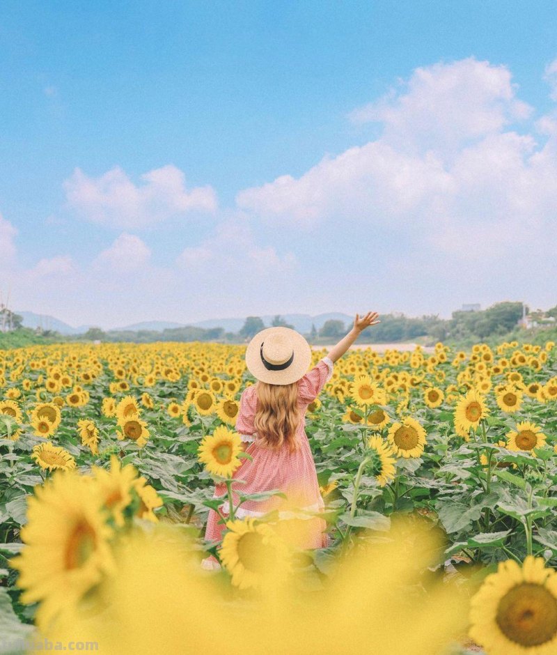 不露脸的照片,应该怎么拍,用这5个摄影技巧吧 不露脸的照片,应该怎么拍,用这5个摄影技巧吧