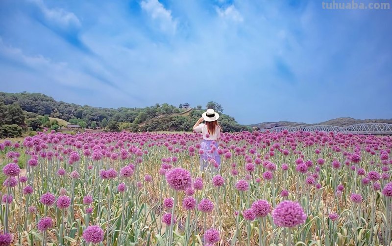 不露脸的照片,应该怎么拍,用这5个摄影技巧吧 不露脸的照片,应该怎么拍,用这5个摄影技巧吧