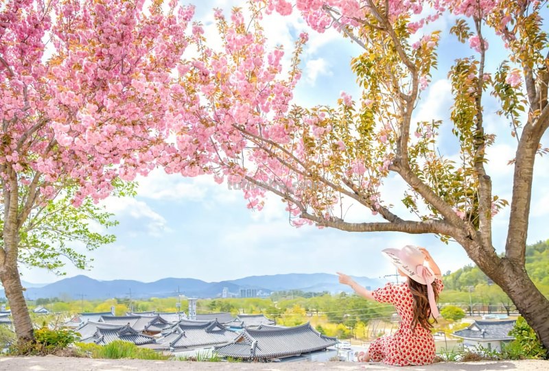 不露脸的照片,应该怎么拍,用这5个摄影技巧吧 不露脸的照片,应该怎么拍,用这5个摄影技巧吧