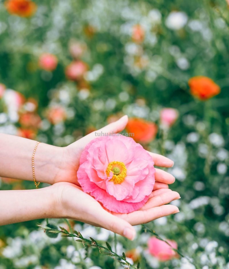 不露脸的照片,应该怎么拍,用这5个摄影技巧吧 不露脸的照片,应该怎么拍,用这5个摄影技巧吧