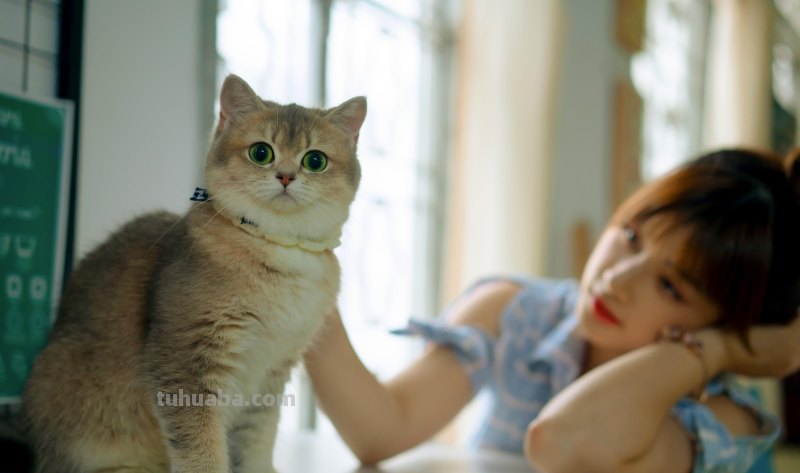 疫情期间,在家拍好看照片,这10个摄影技巧帮你,新手学了就会 疫情期间,在家拍好看照片,这10个摄影技巧帮你,新手学了就会