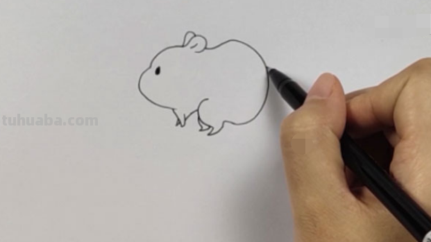 仓鼠怎么画简笔画(可爱的小仓鼠怎么画简笔画) 仓鼠怎么画简笔画(可爱的小仓鼠怎么画简笔画)