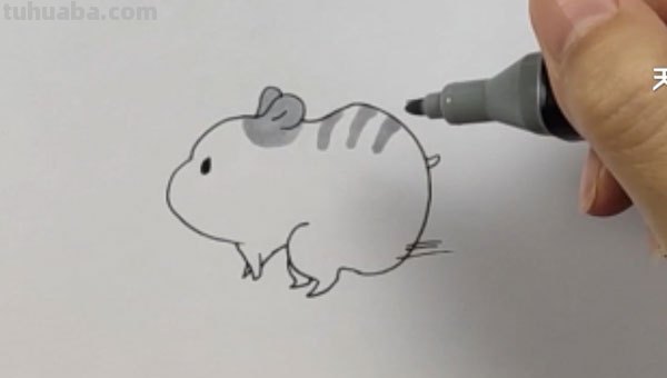 仓鼠怎么画简笔画(可爱的小仓鼠怎么画简笔画) 仓鼠怎么画简笔画(可爱的小仓鼠怎么画简笔画)