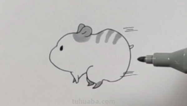 仓鼠怎么画简笔画(可爱的小仓鼠怎么画简笔画) 仓鼠怎么画简笔画(可爱的小仓鼠怎么画简笔画)