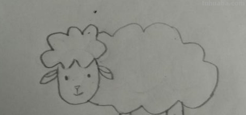 小羊怎么画简笔画(小羊怎么画简笔画可爱) 小羊怎么画简笔画(小羊怎么画简笔画可爱)