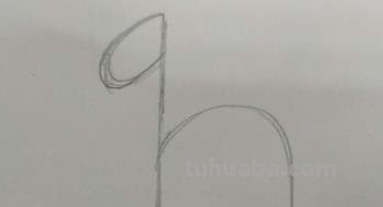 简笔画小马怎么画(简笔画小马怎么画可爱) 简笔画小马怎么画(简笔画小马怎么画可爱)