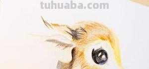 怎么用水溶性彩铅画(怎么用水溶性彩铅画画) 怎么用水溶性彩铅画(怎么用水溶性彩铅画画)