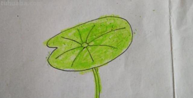 荷叶怎么画简笔画(荷花荷叶怎么画简笔画) 荷叶怎么画简笔画(荷花荷叶怎么画简笔画)