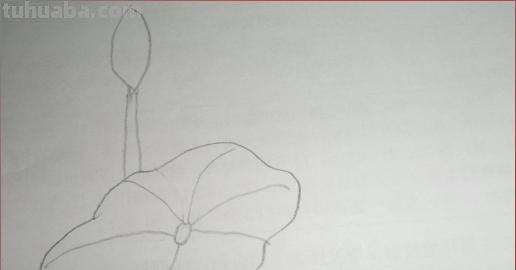 荷叶怎么画简笔画(荷花荷叶怎么画简笔画) 荷叶怎么画简笔画(荷花荷叶怎么画简笔画)