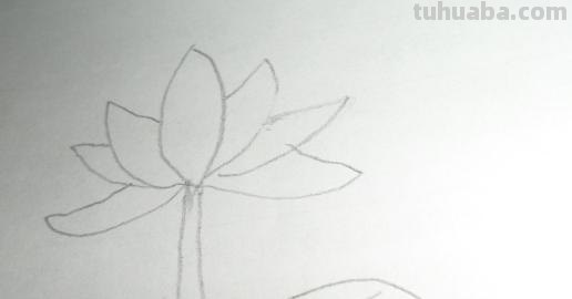 荷叶怎么画简笔画(荷花荷叶怎么画简笔画) 荷叶怎么画简笔画(荷花荷叶怎么画简笔画)
