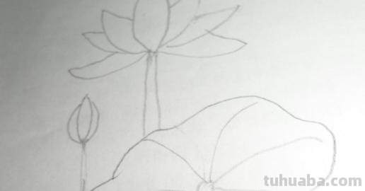 荷叶怎么画简笔画(荷花荷叶怎么画简笔画) 荷叶怎么画简笔画(荷花荷叶怎么画简笔画)