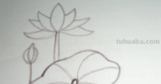 荷叶怎么画简笔画(荷花荷叶怎么画简笔画) 荷叶怎么画简笔画(荷花荷叶怎么画简笔画)