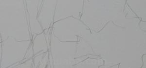 速写灌木丛（速写灌木丛怎么画）