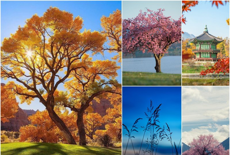 旅拍必看,如何拍出好看的风景照片,来学这7个摄影技巧吧 旅拍必看,如何拍出好看的风景照片,来学这7个摄影技巧吧