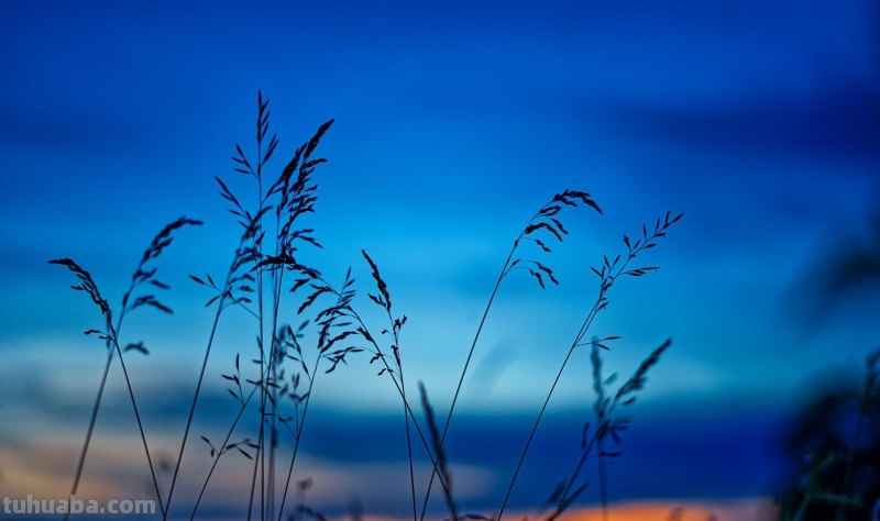 旅拍必看,如何拍出好看的风景照片,来学这7个摄影技巧吧 旅拍必看,如何拍出好看的风景照片,来学这7个摄影技巧吧