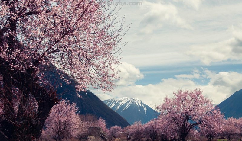 旅拍必看,如何拍出好看的风景照片,来学这7个摄影技巧吧 旅拍必看,如何拍出好看的风景照片,来学这7个摄影技巧吧
