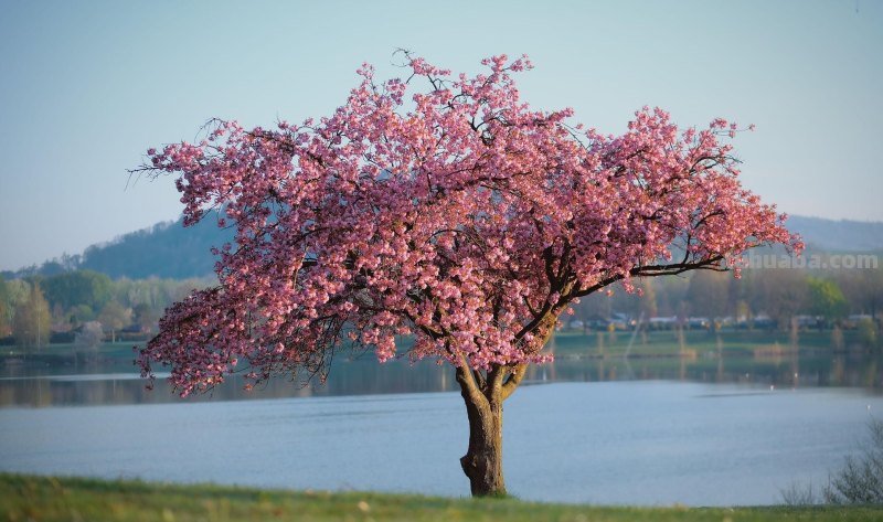 旅拍必看,如何拍出好看的风景照片,来学这7个摄影技巧吧 旅拍必看,如何拍出好看的风景照片,来学这7个摄影技巧吧