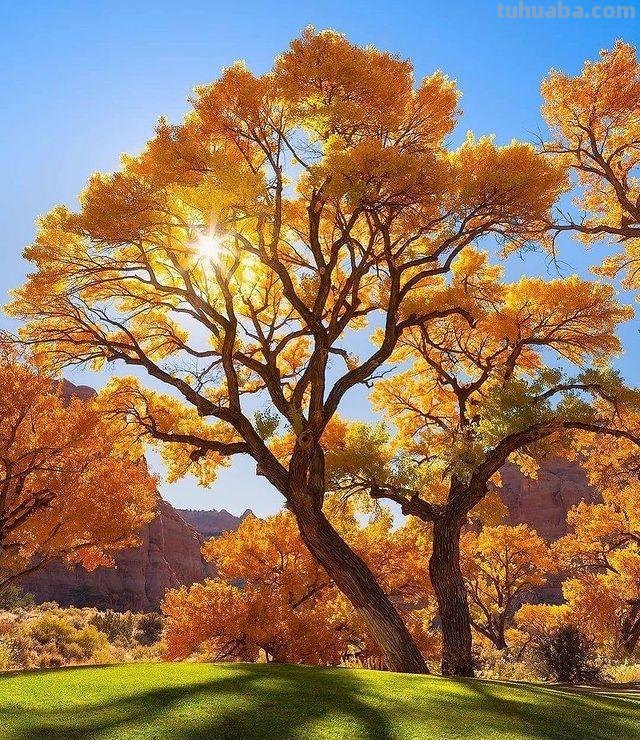 旅拍必看,如何拍出好看的风景照片,来学这7个摄影技巧吧 旅拍必看,如何拍出好看的风景照片,来学这7个摄影技巧吧