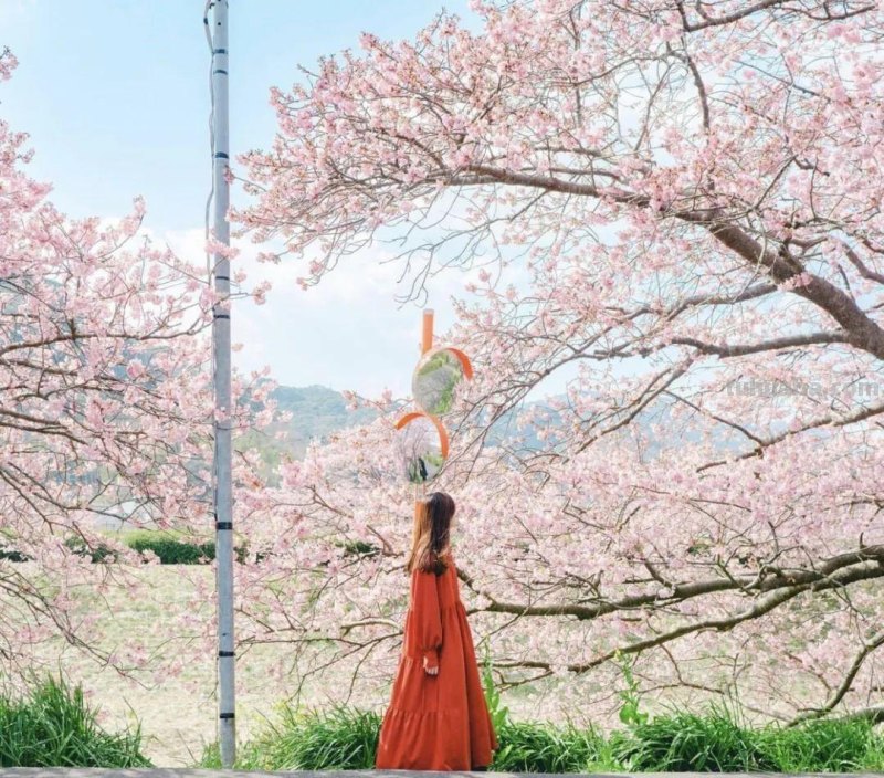 旅行拍照小技巧，4句摄影口诀，拍好照片有门道