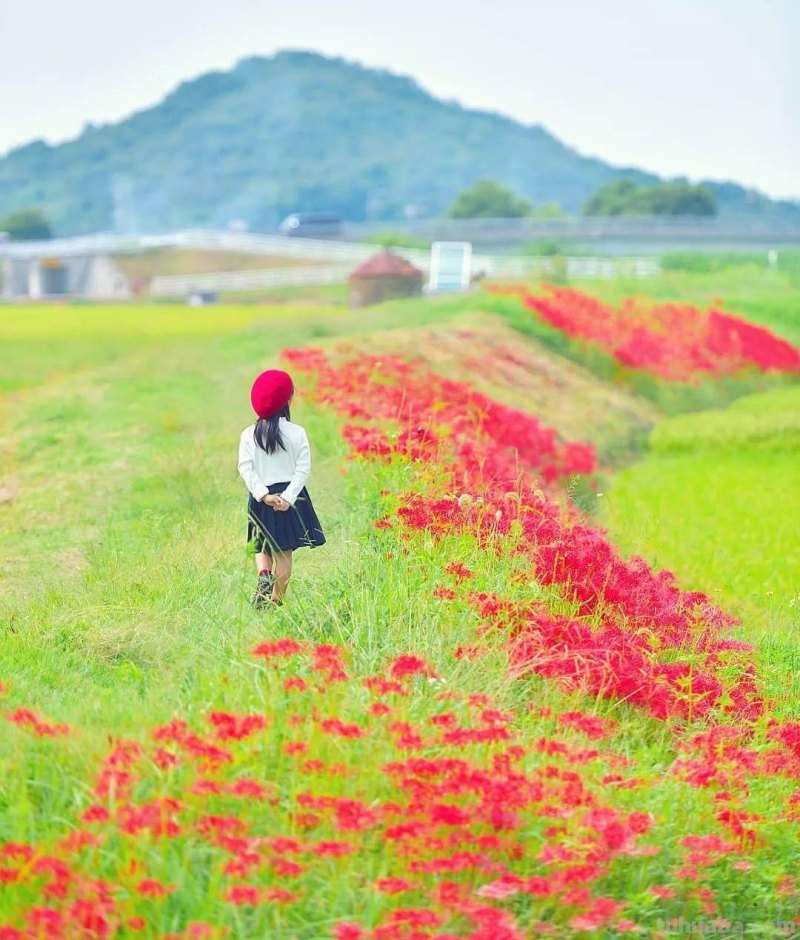 旅行拍照小技巧，4句摄影口诀，拍好照片有门道