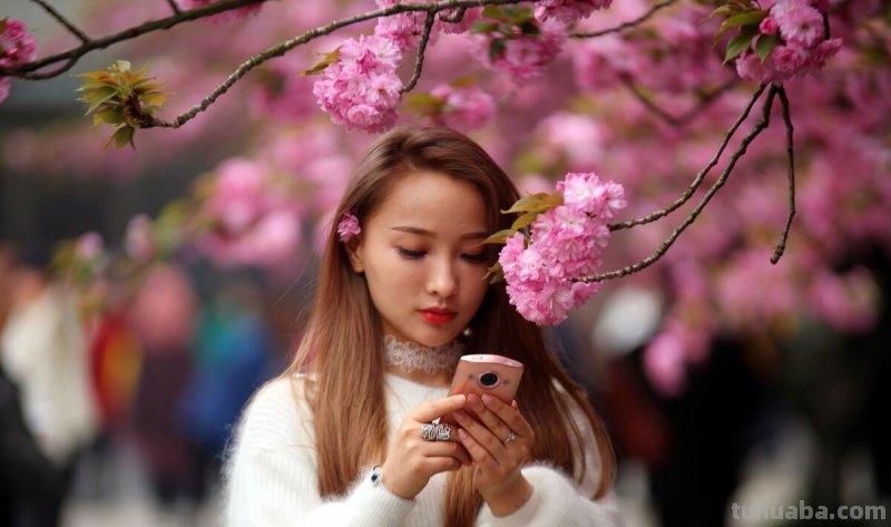 旅行拍照小技巧，4句摄影口诀，拍好照片有门道