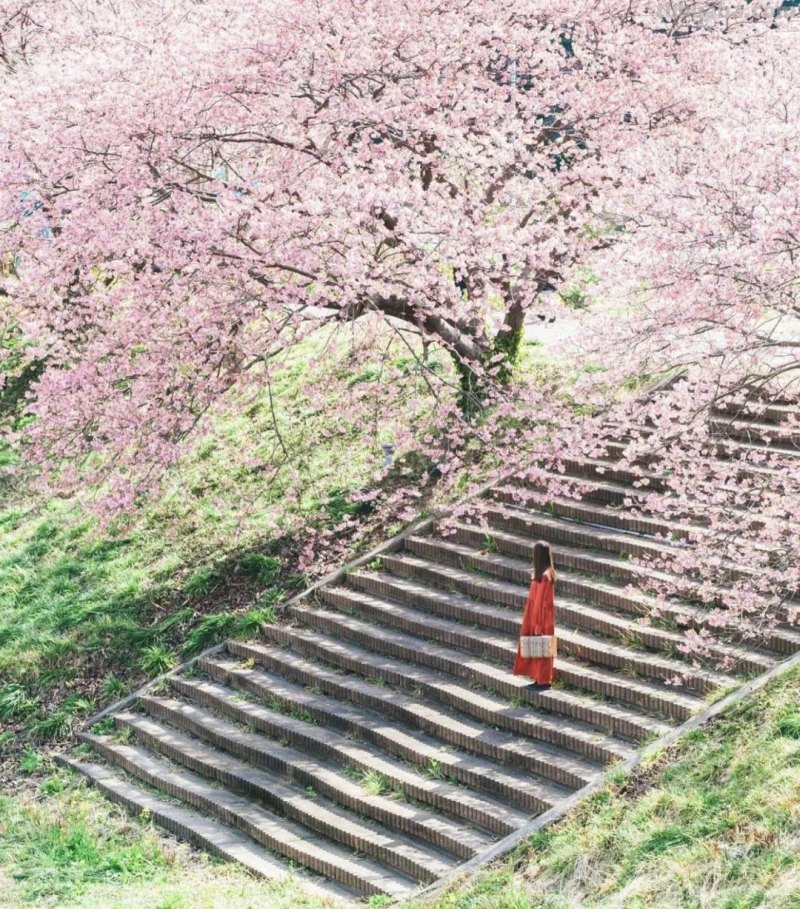旅行拍照小技巧，4句摄影口诀，拍好照片有门道