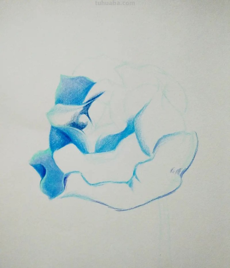 彩铅画怎么画鱼(彩铅画怎么画鱼图片) 彩铅画怎么画鱼(彩铅画怎么画鱼图片)