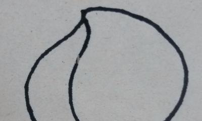 桃子怎么画简笔画(桃子怎么画简笔画图片) 桃子怎么画简笔画(桃子怎么画简笔画图片)
