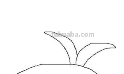 花园怎么画简笔画(巴比伦空中花园怎么画简笔画) 花园怎么画简笔画(巴比伦空中花园怎么画简笔画)