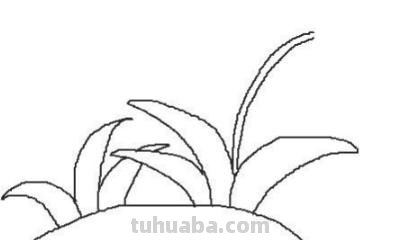 花园怎么画简笔画(巴比伦空中花园怎么画简笔画) 花园怎么画简笔画(巴比伦空中花园怎么画简笔画)