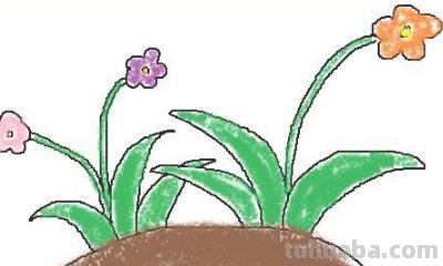 花园怎么画简笔画(巴比伦空中花园怎么画简笔画) 花园怎么画简笔画(巴比伦空中花园怎么画简笔画)