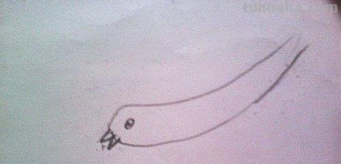 燕子怎么画 简笔画(燕子怎么画简笔画图片) 燕子怎么画 简笔画(燕子怎么画简笔画图片)