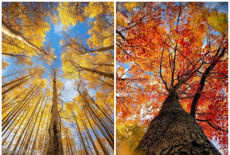 拍风景的10个摄影技巧，帮你拍出风景大片，普通风景也能拍好看