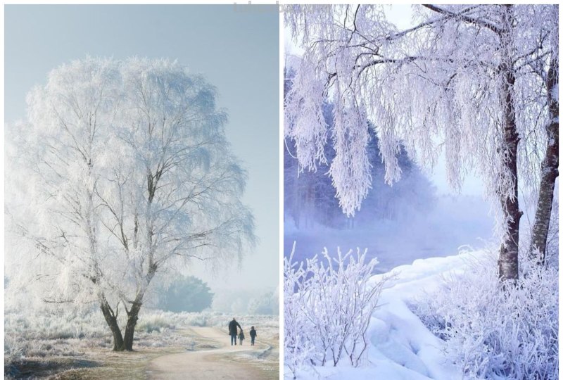 拍风景的10个摄影技巧，帮你拍出风景大片，普通风景也能拍好看