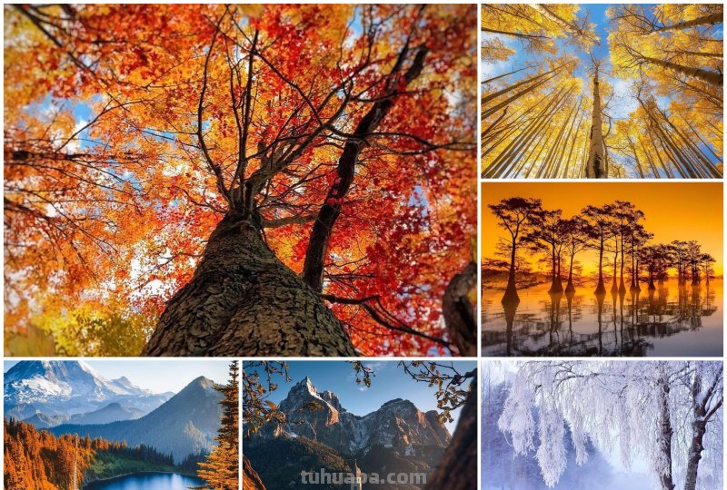 拍风景的10个摄影技巧，帮你拍出风景大片，普通风景也能拍好看