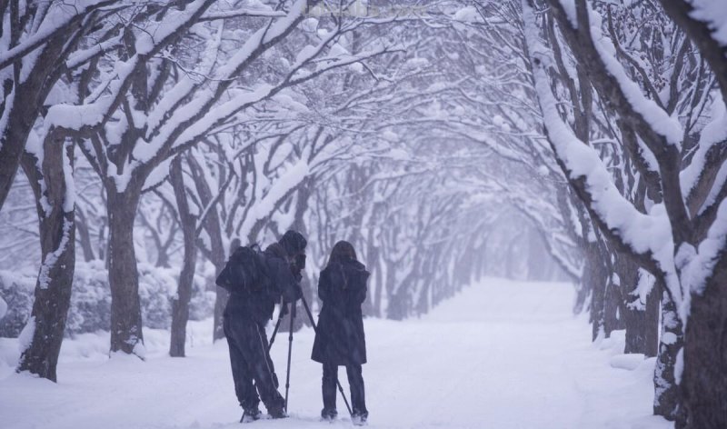 拍照片3大绝招，13年摄影师的拍摄经验，拍风景的技巧与要领