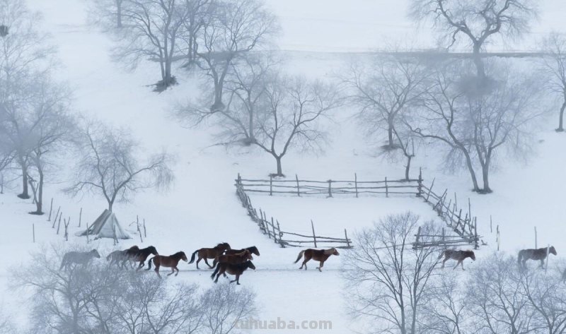 拍照片3大绝招，13年摄影师的拍摄经验，拍风景的技巧与要领