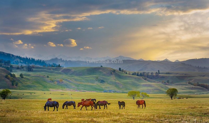 拍照片3大绝招，13年摄影师的拍摄经验，拍风景的技巧与要领