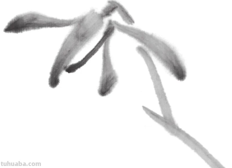 兰花怎么画简笔画(兰花怎么画简笔画美丽漂亮的) 兰花怎么画简笔画(兰花怎么画简笔画美丽漂亮的)