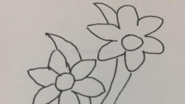 兰花怎么画简笔画(兰花怎么画简笔画美丽漂亮的) 兰花怎么画简笔画(兰花怎么画简笔画美丽漂亮的)