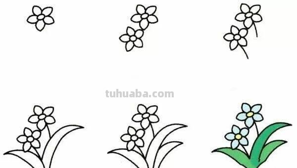 兰花怎么画简笔画(兰花怎么画简笔画美丽漂亮的) 兰花怎么画简笔画(兰花怎么画简笔画美丽漂亮的)