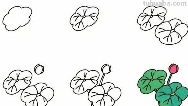 兰花怎么画简笔画(兰花怎么画简笔画美丽漂亮的) 兰花怎么画简笔画(兰花怎么画简笔画美丽漂亮的)