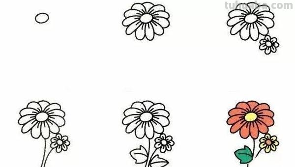 兰花怎么画简笔画(兰花怎么画简笔画美丽漂亮的) 兰花怎么画简笔画(兰花怎么画简笔画美丽漂亮的)