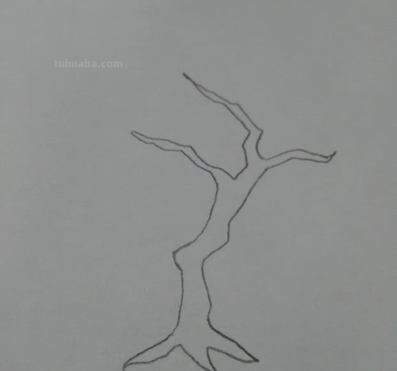 彩铅柠檬怎么画（彩铅柠檬怎么画 百度网盘）