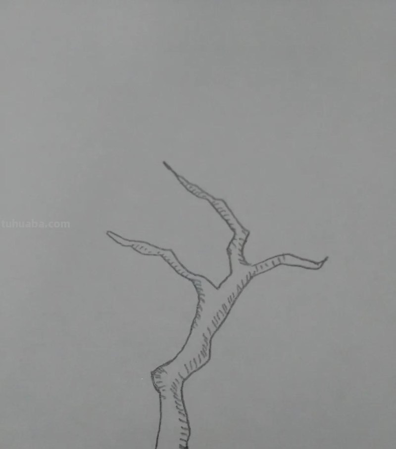 彩铅柠檬怎么画（彩铅柠檬怎么画 百度网盘）